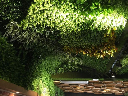 成都植物墙制作，成都背景墙绿化制作，仿真植物墙优势