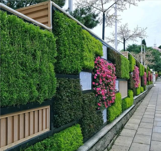 成都背景墙绿化制作，成都植物墙制作，四季常绿植物、仿真绿植打造墙上艺术花园