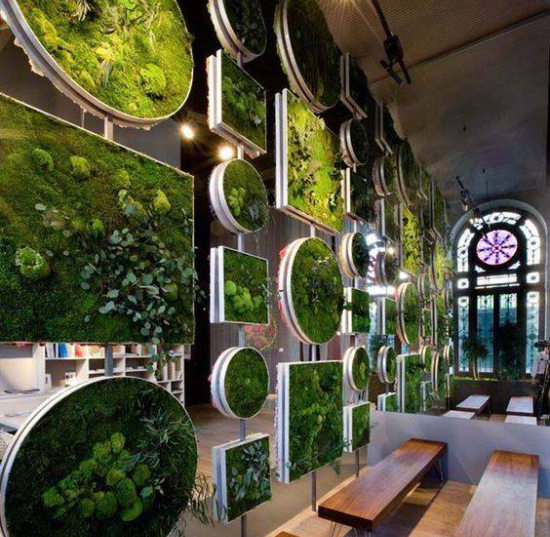 成都背景墙绿化制作公司，成都植物墙制作，9款超美超赞的植物墙设计制作欣赏
