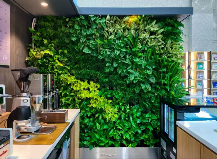 室内植物墙设计制作，5个经典实景案例分享