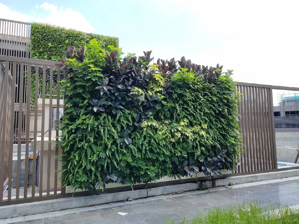植物墙创意设计制作，垂直绿化实施打造新技术