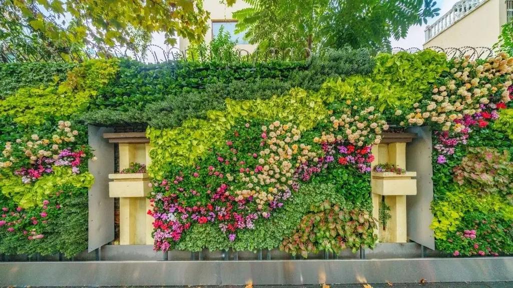 植物墙设计制作技术详解