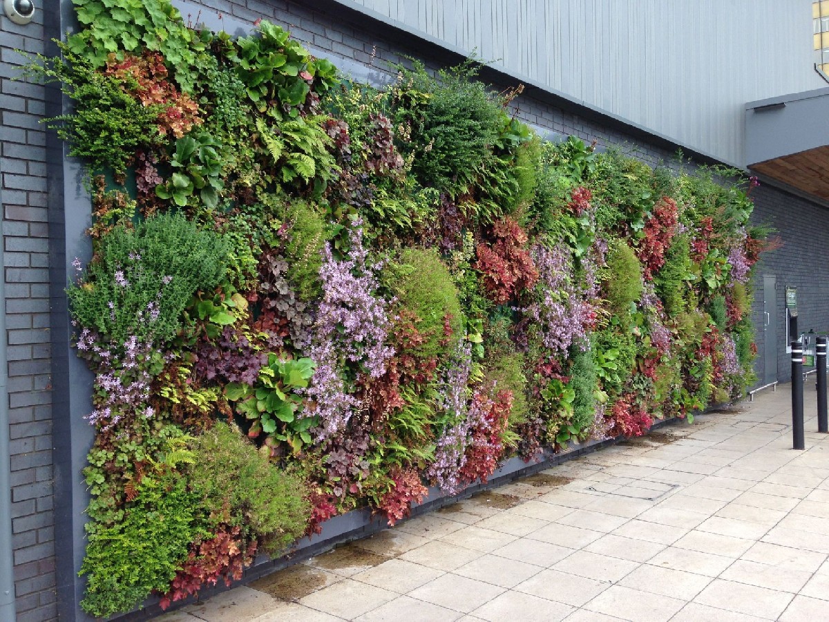 植物墙设计制作，真植植物墙建设生态环保价值