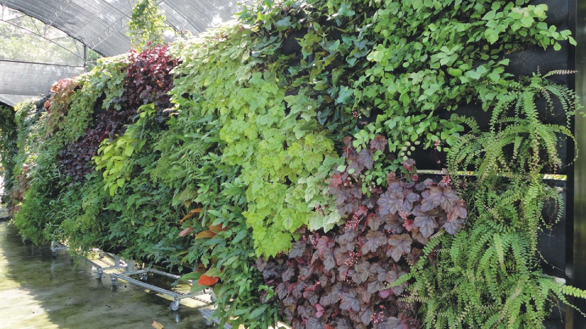 成都生态植物墙制作哪家工艺最好？四川尚瑞景世界500强的绿雕和植物墙供应商