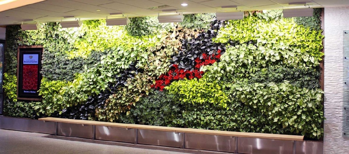 生态植物墙设计制作，植物墙维护要点