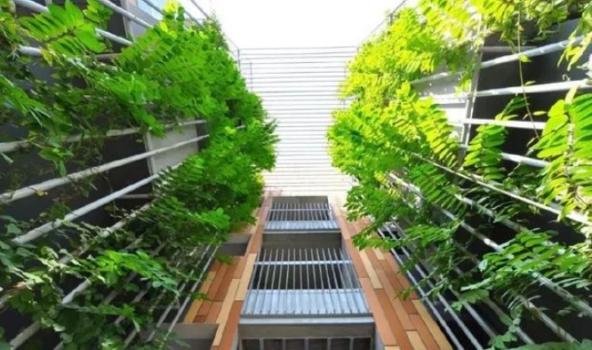 植物墙制作  有生命的墙建筑设计界的“绿色风潮”