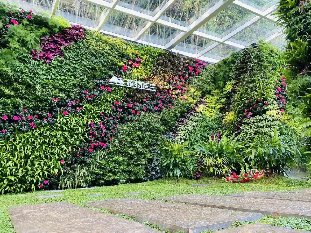植物墙设计制作，多立面植物墙之美