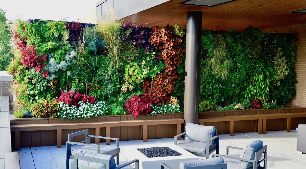 生态植物墙设计制作，南方地区植物选择推荐