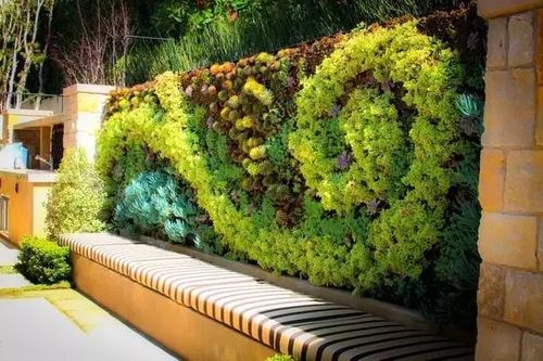 生态植物墙设计制作，维护养护要点