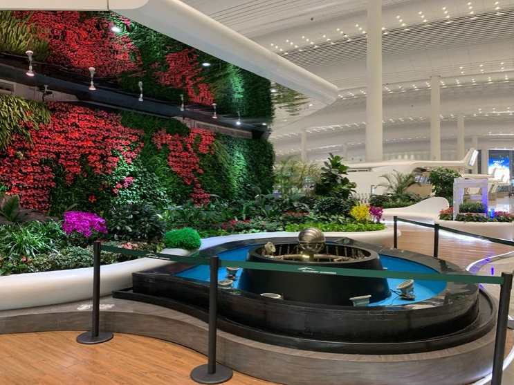机场航站楼植物墙设计制作，四川尚瑞景园林