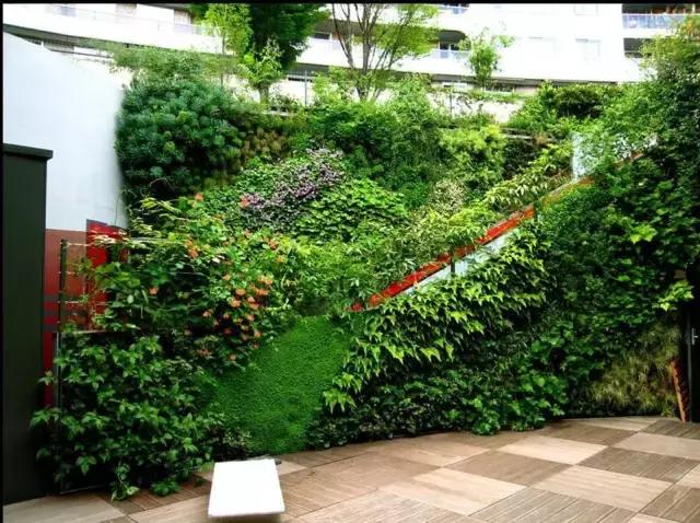 植物墙创意设计制作，四川尚瑞景园林倾情设计打造，植物墙首选品牌