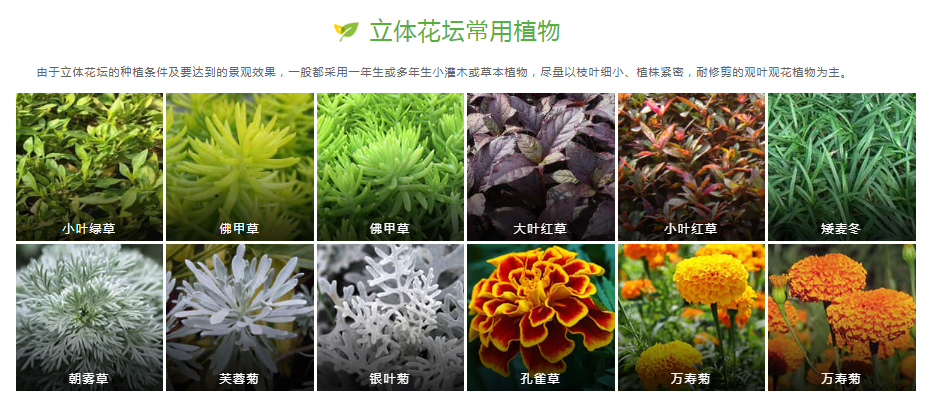 绿雕花坛一体化解决方案