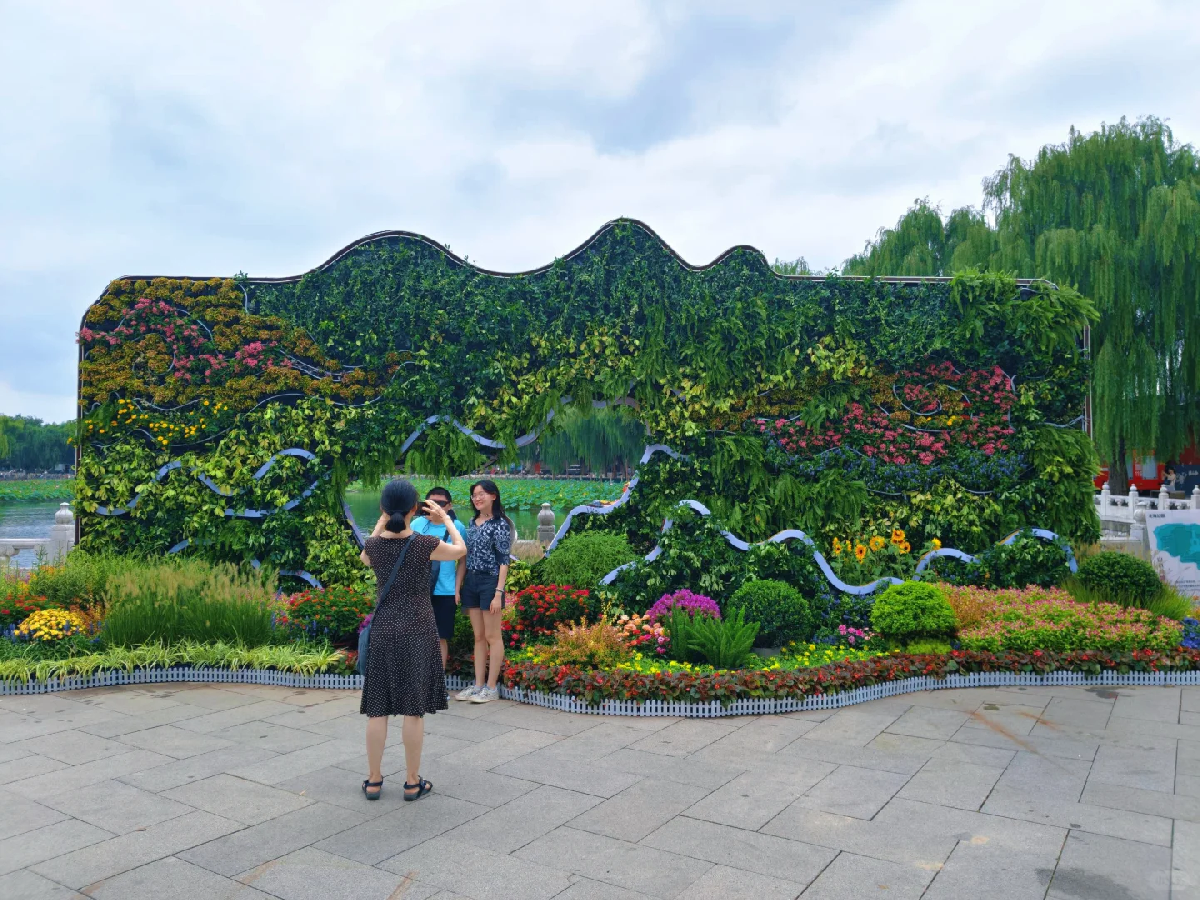 北海公园植物墙藏春境，一壁苍翠醉游人